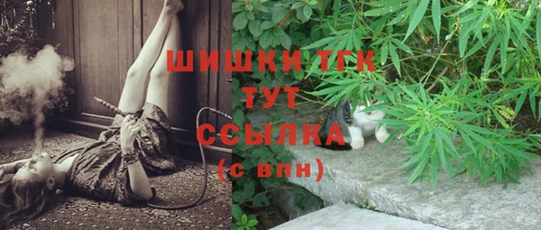 ешки Белокуриха