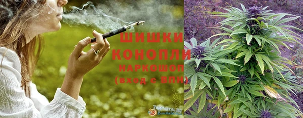 ешки Белокуриха