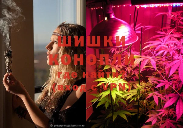 мяу мяу мука Беломорск